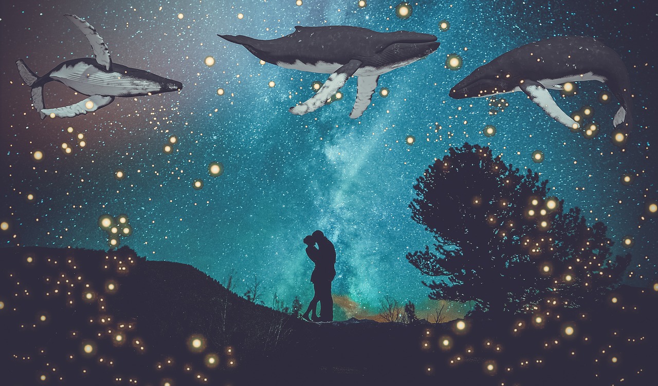 Fantasy